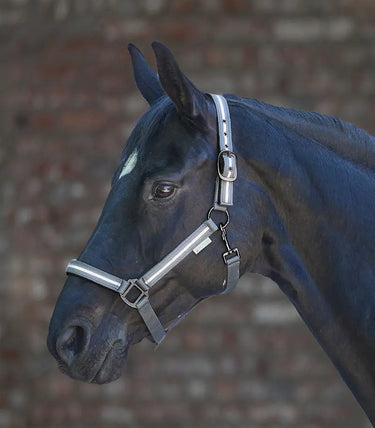 Waldhausen REFLEX Stripe Halter| Online For Equine