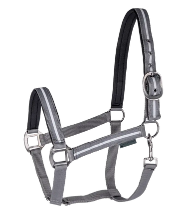 Waldhausen REFLEX Stripe Halter| Online For Equine