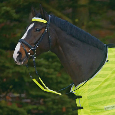 Buy Waldhausen Reflex Bridle Set | Online for Equine