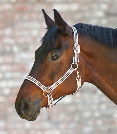 Waldhausen Shine Halter| Online For Equine