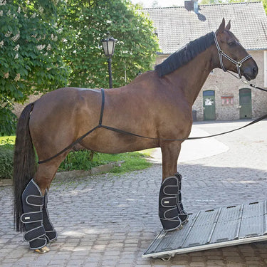 Buy Waldhausen Shipping aid | Online for Equine