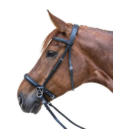 Buy Waldhausen Star Bitless Bridle | Online for Equine
