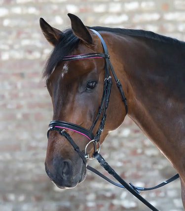 Buy Waldhausen Star Bridle Diamond | Online for Equine