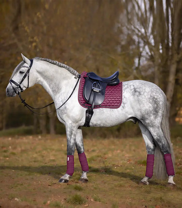 Buy Waldhausen Toulouse Saddle Pad | Online for Equine