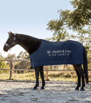Buy Waldhausen W-Health & Care Ice Layer Rug | Online for Equine