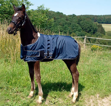 Buy Waldhausen Waldhausen Turnout Rug for Foals | Online for Equine