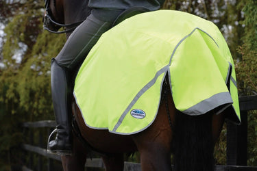 Buy WeatherBeeta 300D Reflective Exercise Sheet| Online for Equine