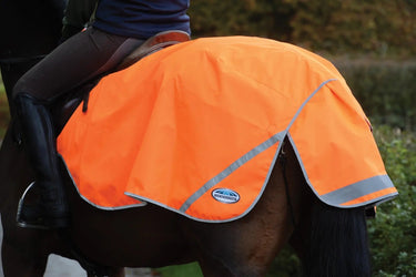 Buy WeatherBeeta 300D Reflective Exercise Sheet| Online for Equine