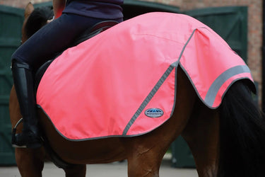 Buy WeatherBeeta 300D Reflective Exercise Sheet| Online for Equine