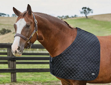 Buy the WeatherBeeta Black Deluxe Shoulder Guard | Online For Equine