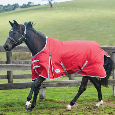 Buy WeatherBeeta ComFiTec Classic Medium/ Lite 100g Standard Neck| Online for Equine