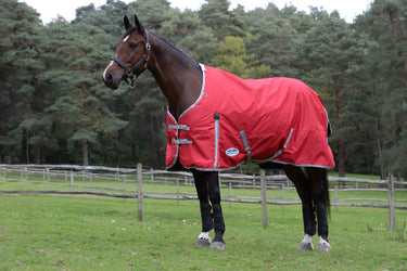 Buy WeatherBeeta ComFiTec Classic Medium/ Lite 100g Standard Neck| Online for Equine