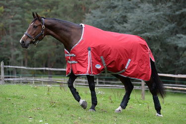 Buy WeatherBeeta ComFiTec Classic Medium/ Lite 100g Standard Neck| Online for Equine