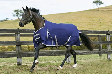 WeatherBeeta ComFiTec Classic Mediumweight 220g Standard Neck Turnout Rug - 5'6" (66")