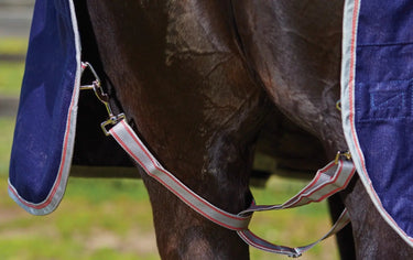 Buy WeatherBeeta ComFiTec Classic Mediumweight 220g Standard Neck Turnout Rug| Online for Equine