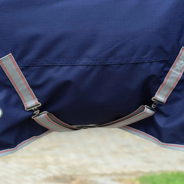 Buy WeatherBeeta ComFiTec Essential 0g Standard Neck Turnout Rug| Online for Equine