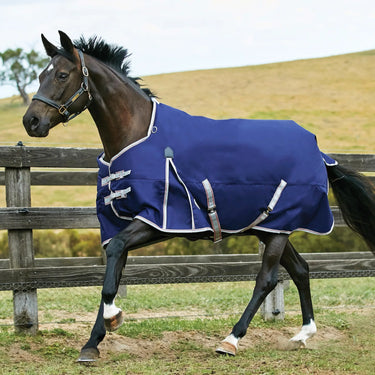 Buy WeatherBeeta ComFiTec Essential 0g Standard Neck Turnout Rug| Online for Equine