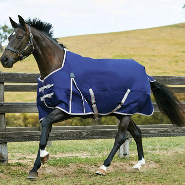 WeatherBeeta ComFiTec Essential 0g Standard Neck Turnout Rug| Online For Equine
