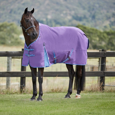 WeatherBeeta ComFiTec Essential 0g Standard Neck Turnout Rug| Online For Equine