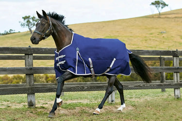 Buy WeatherBeeta ComFiTec Essential 50g Lightweight Standard Neck Turnout Rug| Online for Equine