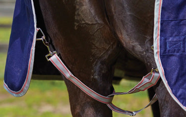 Buy WeatherBeeta ComFiTec Essential 50g Lightweight Standard Neck Turnout Rug| Online for Equine