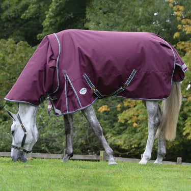 Buy WeatherBeeta ComFiTec Plus Dynamic II 100g Lightweight Detach-A-Neck Turnout Rug| Online for Equine