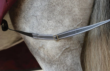 Buy WeatherBeeta ComFiTec Plus Dynamic II 100g Lightweight Combo Neck Turnout Rug| Online for Equine