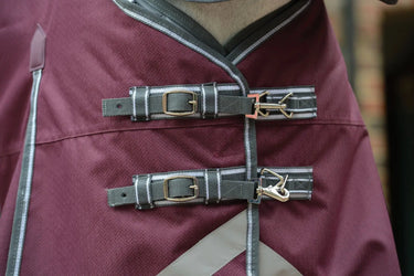 Buy WeatherBeeta ComFiTec Plus Dynamic II 100g Lightweight Combo Neck Turnout Rug| Online for Equine