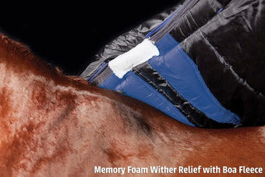 Buy WeatherBeeta ComFiTec Plus Dynamic II 100g Lightweight Combo Neck Turnout Rug| Online for Equine