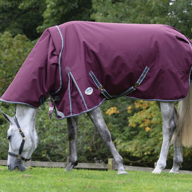 WeatherBeeta ComFiTec Plus Dynamic II 100g Lightweight Detach-A-Neck Turnout Rug - 7'0" (84")| Online For Equine