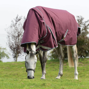 WeatherBeeta ComFiTec Plus Dynamic II 100g Lightweight Detach-A-Neck Turnout Rug - 7'0" (84")| Online For Equine