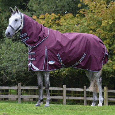 WeatherBeeta ComFiTec Plus Dynamic II 100g Lightweight Detach-A-Neck Turnout Rug - 7'0" (84")| Online For Equine