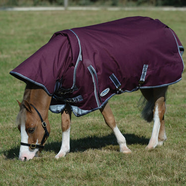 WeatherBeeta ComFiTec Plus Dynamic II 100g Lightweight Detach-A-Neck Turnout Rug - 7'0" (84")| Online For Equine