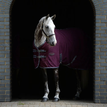 WeatherBeeta Dark Blue / Grey / White Fleece Cooler Standard Neck| Online For Equine
