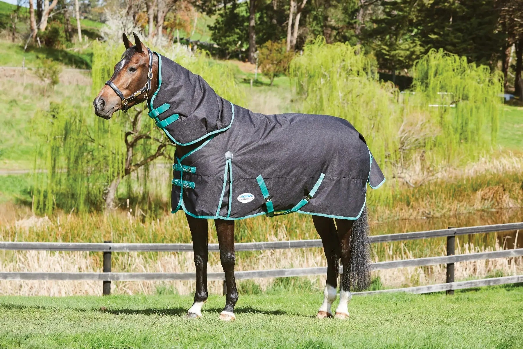 Weatherbeeta Turtle Rug Buy the WeatherBeeta Green-Tec 360G Detach-A-Neck Turnout Rug | Online ...