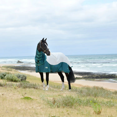 WeatherBeeta Green-Tec Airflow Mesh Rug| Online For Equine
