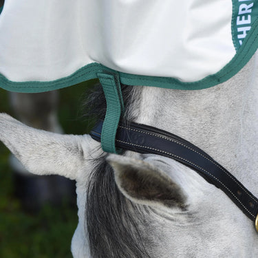 WeatherBeeta Green-Tec Airflow Mesh Rug| Online For Equine