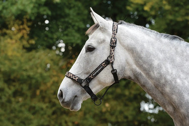 Buy WeatherBeeta Leopard Pink Leopard Print Headcollar-Warmblood| Online for Equine