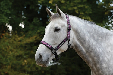Buy WeatherBeeta Leopard Pink Leopard Print Headcollar-Warmblood| Online for Equine