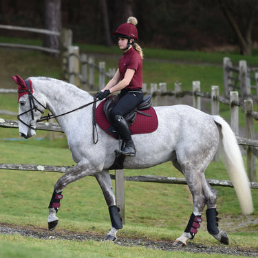 WeatherBeeta Prime Single Lock Brushing Boots| Online For Equine