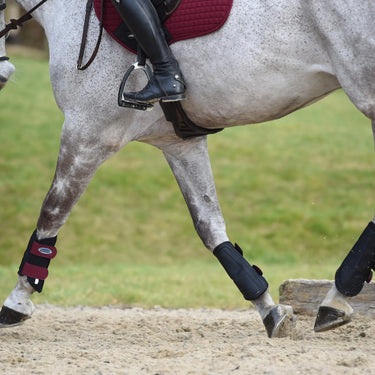 WeatherBeeta Prime Single Lock Brushing Boots| Online For Equine