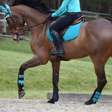 WeatherBeeta Prime Single Lock Brushing Boots| Online For Equine