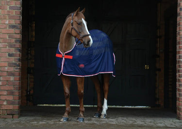 Buy WeatherBeeta Scrim Standard Neck Cooler| Online for Equine