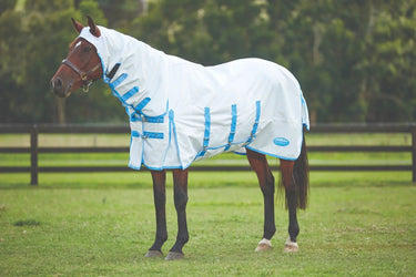 Buy WeatherBeeta Sweet Itch Shield Combo Neck Fly Rug| Online for Equine