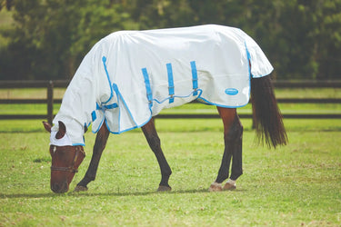 Buy WeatherBeeta Sweet Itch Shield Combo Neck Fly Rug| Online for Equine