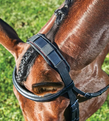 Buy WeatherBeeta Therapy-Tec Poll Pad| Online for Equine