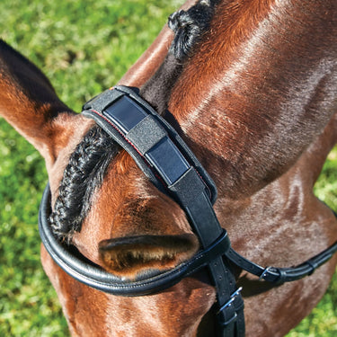 WeatherBeeta Therapy-Tec Poll Pad| Online For Equine