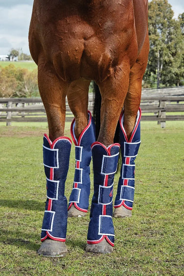 Buy WeatherBeeta Wide Tab Shaped Travel Boots| Online for Equine