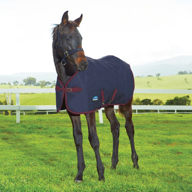 Weatherbeeta 1200D Foal Standard Neck 220G| Online For Equine