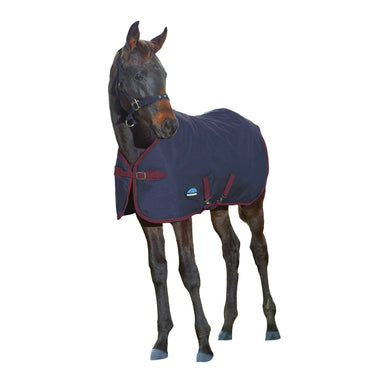 Weatherbeeta 1200D Foal Standard Neck 220G| Online For Equine
